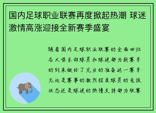 国内足球职业联赛再度掀起热潮 球迷激情高涨迎接全新赛季盛宴