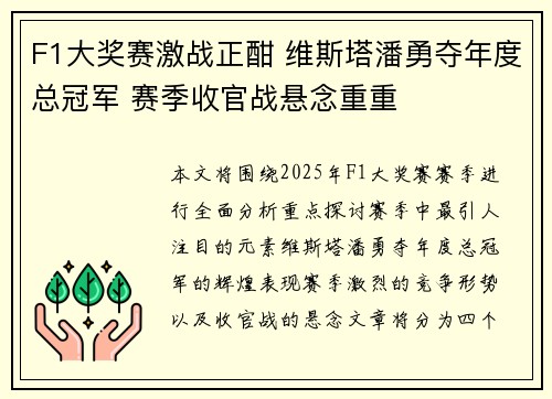 F1大奖赛激战正酣 维斯塔潘勇夺年度总冠军 赛季收官战悬念重重